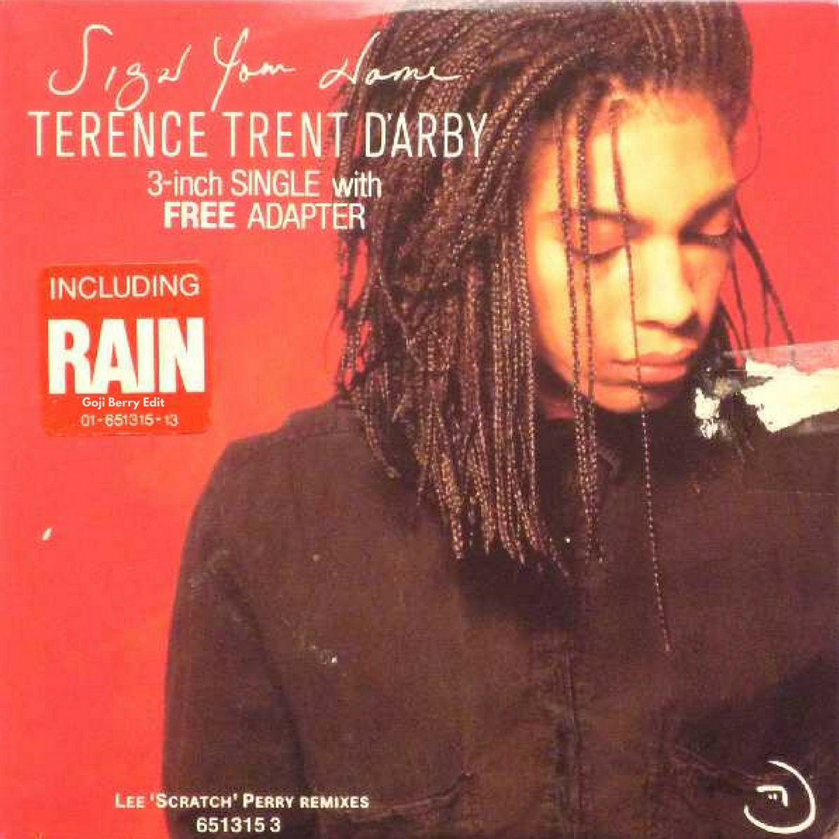 TERENCE TRENT D'ARBY - Rain