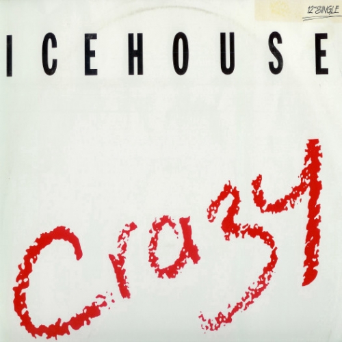 ICEHOUSE - Crazy