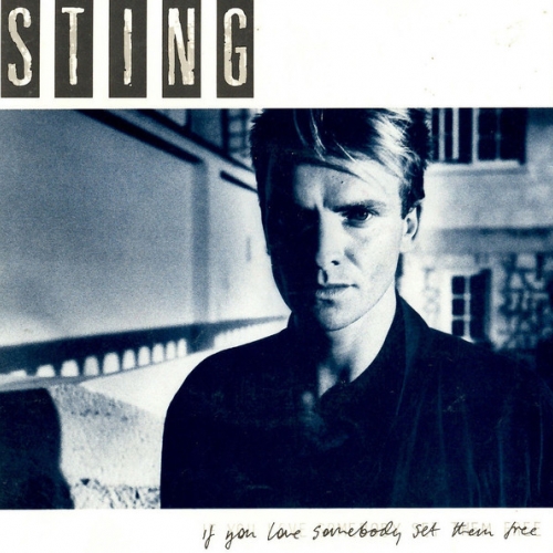 STING - If You Love Somebody Set Them Free