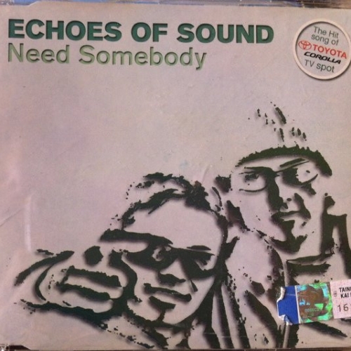 ECHOES OF SOUND - Need Somebody