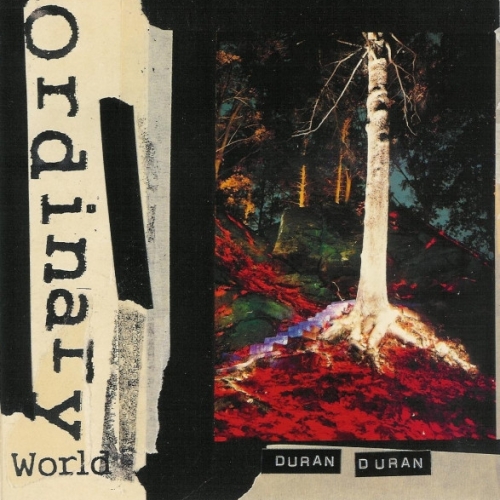 DURAN DURAN - Ordinary World