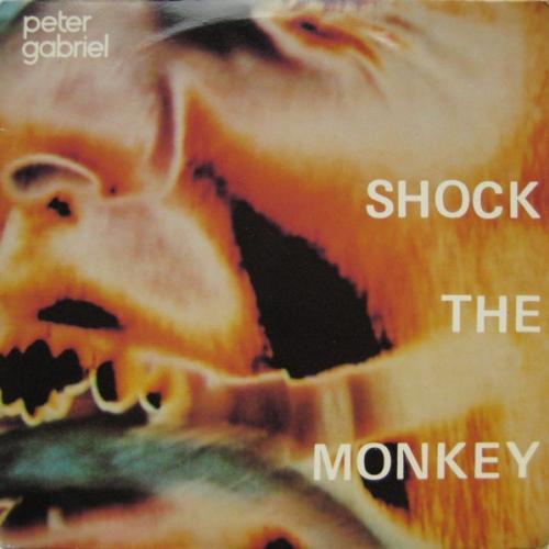 PETER GABRIEL - Shock the monkey