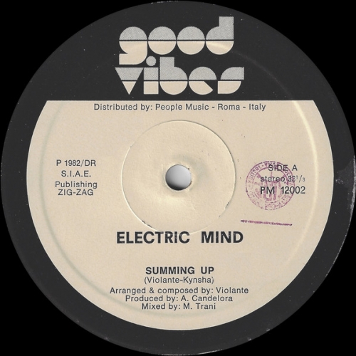 ELECTRIC MIND - Summing Up