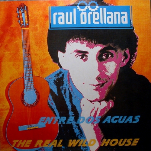 RAUL ORELLANA - The Real Wild House