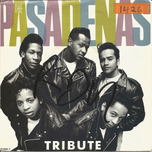 THE PASADENAS - Tribute