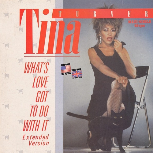 TINA TURNER - What\'s Love Got To Do With It (Extended Version)